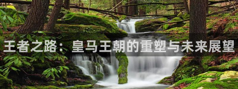 王者之路：皇马王朝的重塑与未来展望