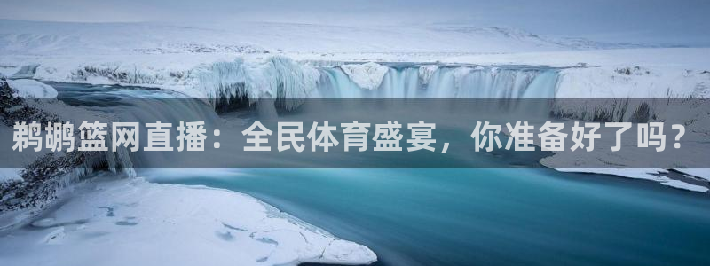 鹈鹕篮网直播：全民体育盛宴，你准备好了吗？