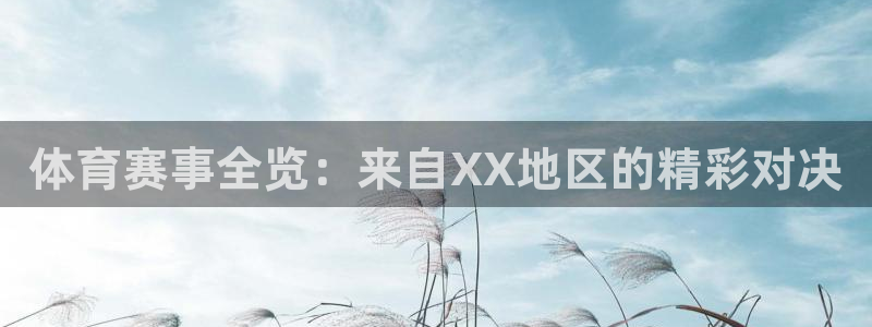 体育赛事全览：来自XX地区的精彩对决