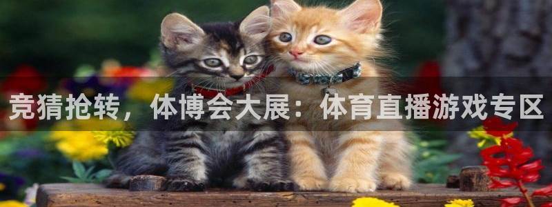 竞猜抢转，体博会大展：体育直播游戏专区