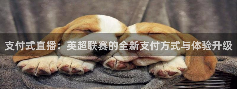 支付式直播：英超联赛的全新支付方式与体验升级