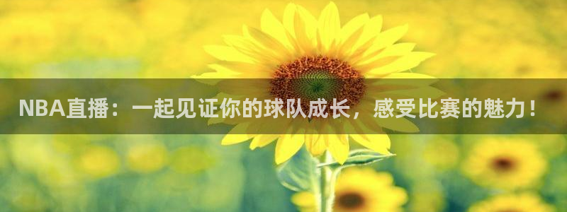 NBA直播：一起见证你的球队成长，感受比赛的魅力！