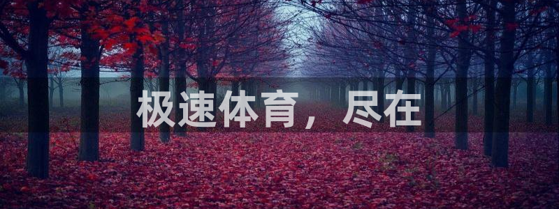 极速体育，尽在