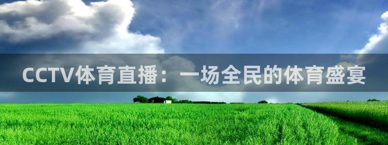 CCTV体育直播：一场全民的体育盛宴