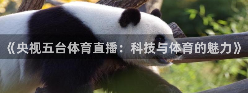 《央视五台体育直播：科技与体育的魅力》