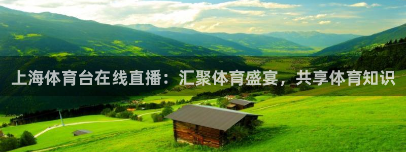 上海体育台在线直播：汇聚体育盛宴，共享体育知识