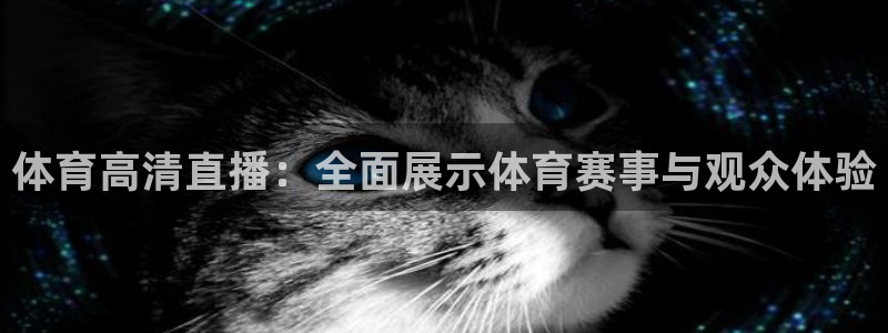 体育高清直播：全面展示体育赛事与观众体验