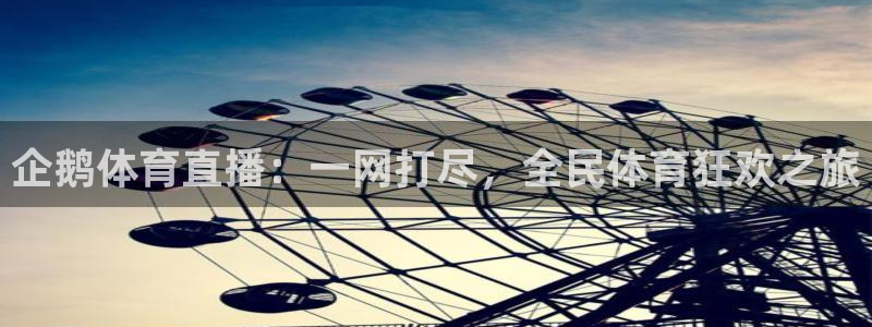 企鹅体育直播：一网打尽，全民体育狂欢之旅