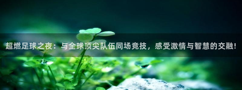 超燃足球之夜：与全球顶尖队伍同场竞技，感受激情与智慧的交融!