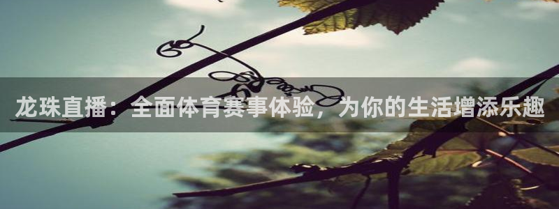 龙珠直播：全面体育赛事体验，为你的生活增添乐趣