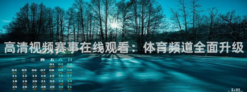 高清视频赛事在线观看：体育频道全面升级