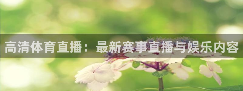 高清体育直播：最新赛事直播与娱乐内容