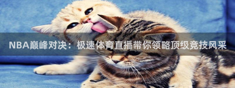NBA巅峰对决：极速体育直播带你领略顶级竞技风采