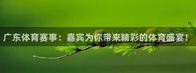 广东体育赛事：嘉宾为你带来精彩的体育盛宴！