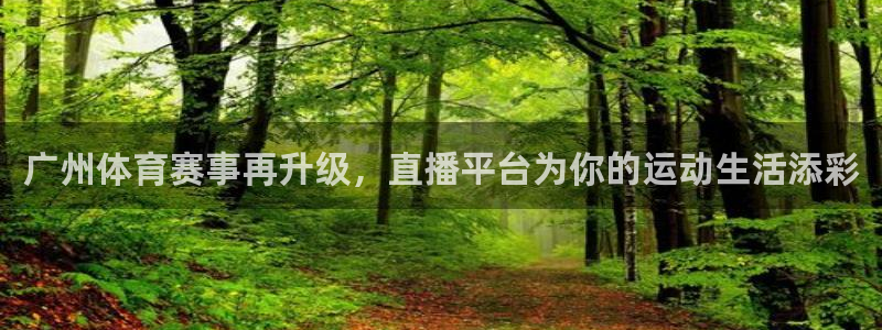 广州体育赛事再升级，直播平台为你的运动生活添彩