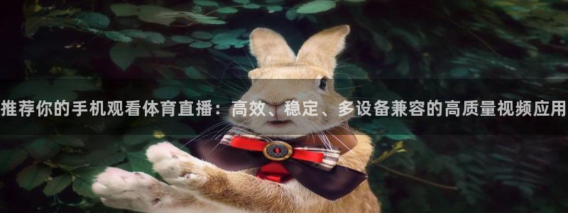 推荐你的手机观看体育直播：高效、稳定、多设备兼容的高质量视频应用