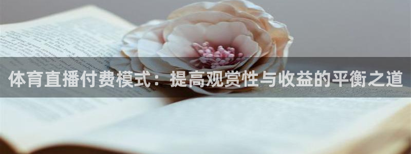 体育直播付费模式：提高观赏性与收益的平衡之道