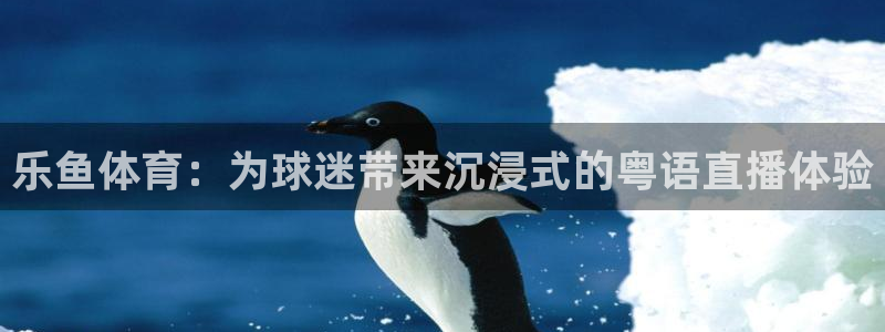 乐鱼体育：为球迷带来沉浸式的粤语直播体验