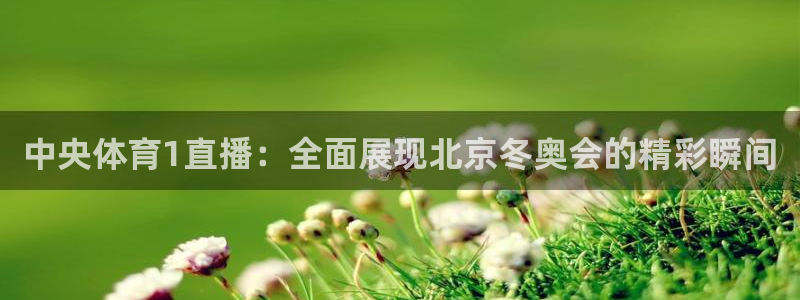 中央体育1直播：全面展现北京冬奥会的精彩瞬间