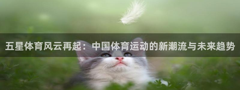 五星体育风云再起：中国体育运动的新潮流与未来趋势