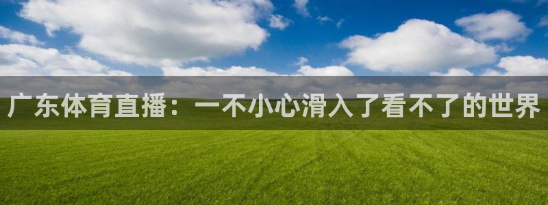 广东体育直播：一不小心滑入了看不了的世界