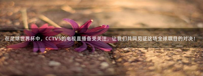 在足球世界杯中，CCTV5的电视直播备受关注，让我们共同见证这场全球瞩目的对决！